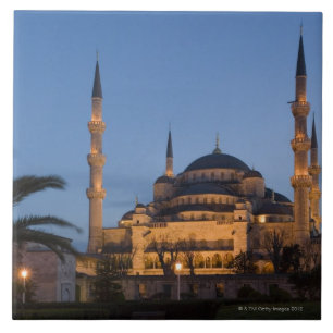 Blue Mosque, Sultanhamet Area, Istanbul, Turkey Tile