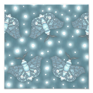 Blue Moths Photo Print