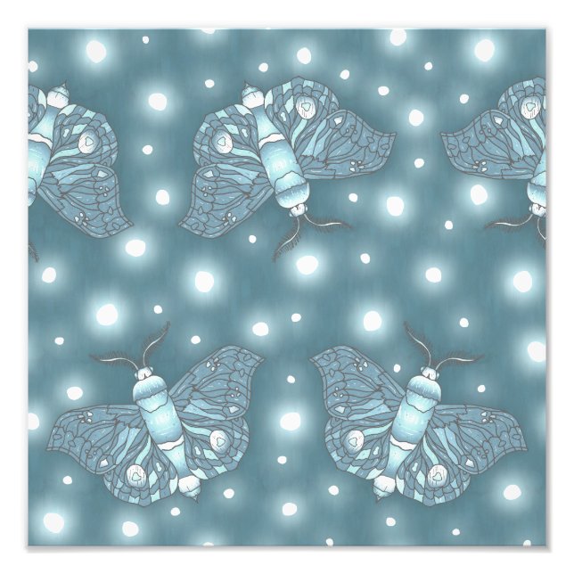 Blue Moths Photo Print (Front)