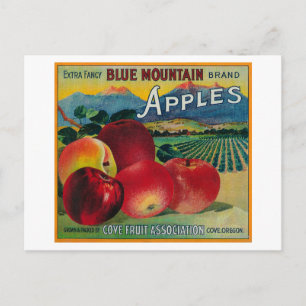 Blue Mountain Apple Crate LabelCove, OR Postcard