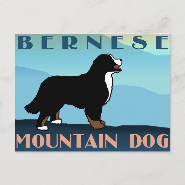 Blue Mountain Bernese Dog Postcard (Front)