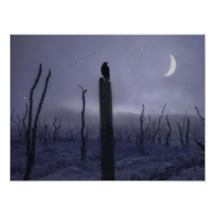 Blue Mystical Night Of Crow Photo Print