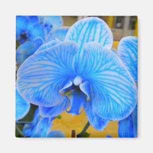 Blue Mystique Orchid Magnet