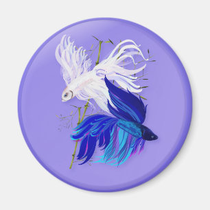 Blue 'n' White Siamese Fighting Fish Magnets