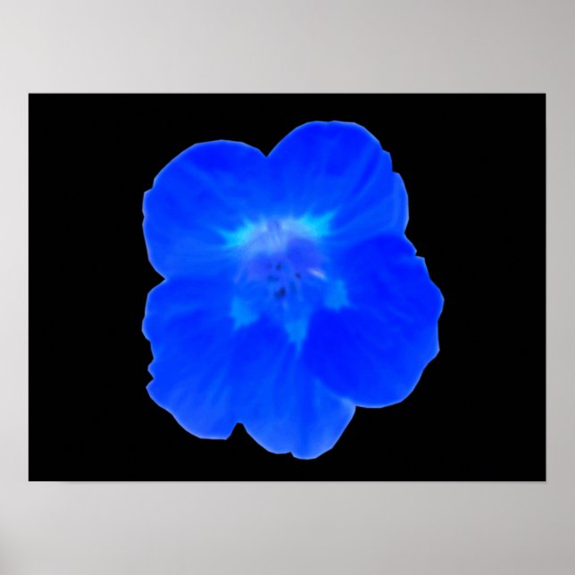 Blue Nasturtium Print (Front)