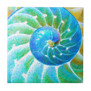 Blue Nautilus Tile