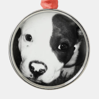 Blue Nose Pitbull Puppy Metal Tree Decoration