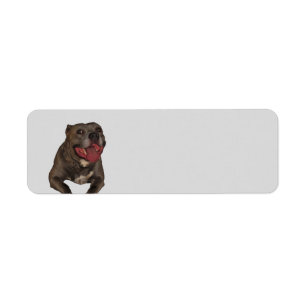 Blue Nose Pitbull Return Address Labels