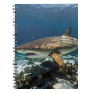 Blue Ocean Summer Beach  shark Photo          Notebook