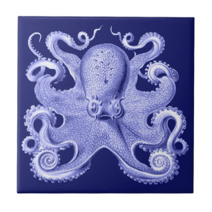 Blue Octopus Nautical Beach House Coastal Haeckel Tile