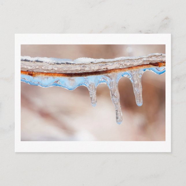 blue on an icy day postcard (Front)