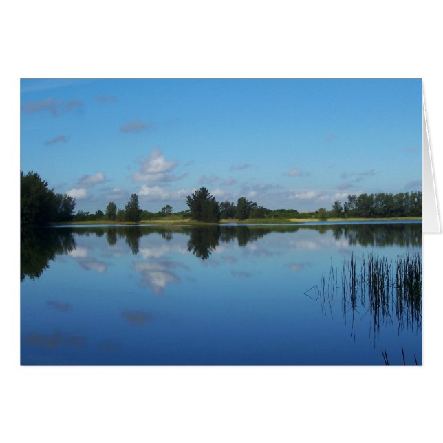 Blue on Blue (Front Horizontal)