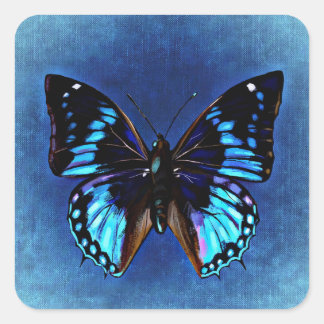 Blue on Blue Butterfly Sticker