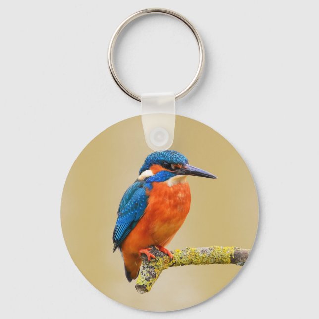 Blue Orange Kingfisher Bird Key Ring (Front)