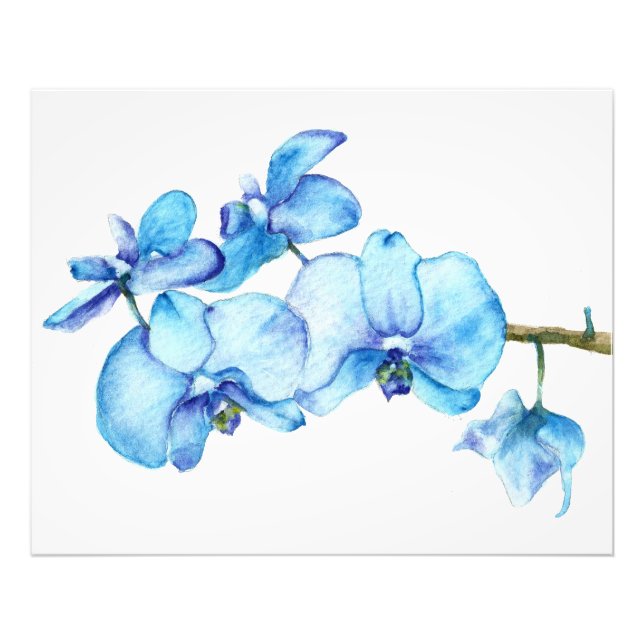 Blue Orchid Botanical Print (Front)