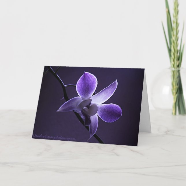 Blue Orchid Card (Front)