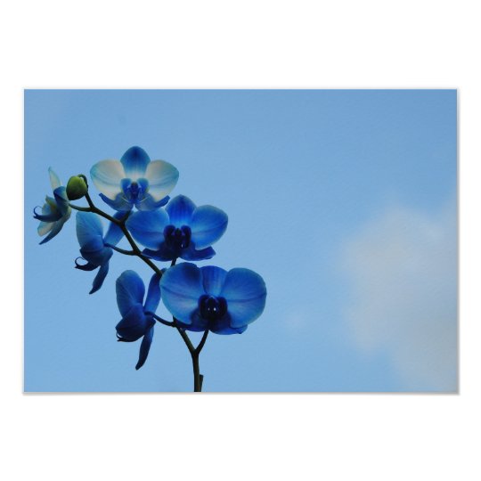 Blue orchid card