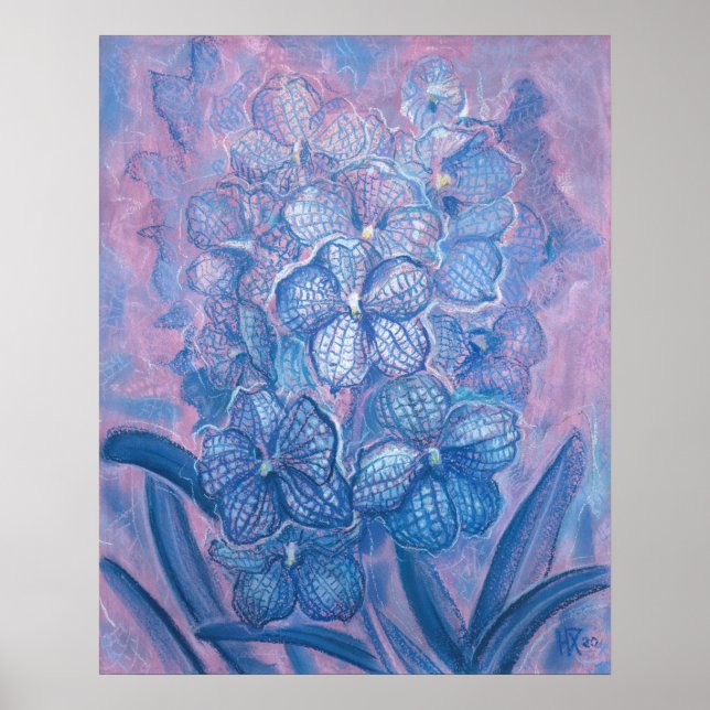 Blue Orchid Chequered Vanda Garden Flowers Botanic Poster (Front)