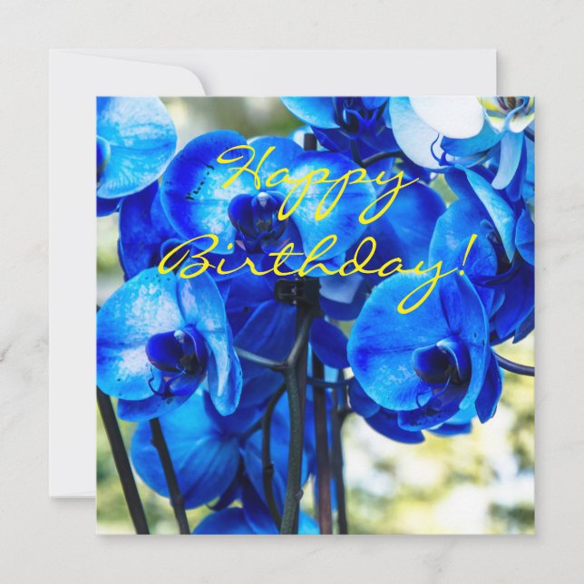 Blue orchids (Front)