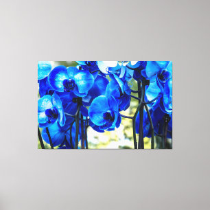 Blue orchids canvas print