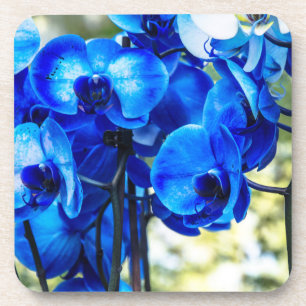 Blue orchids coaster
