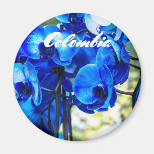 Blue orchids magnet