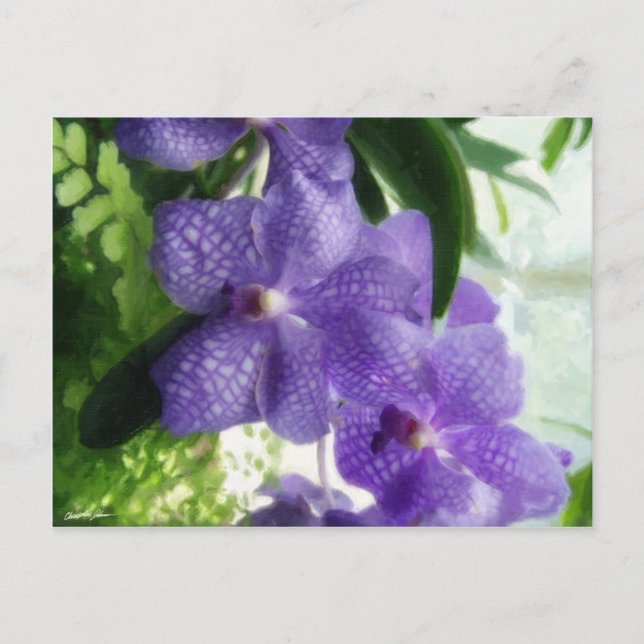 Blue Orchids Painterly Postcard (Front)