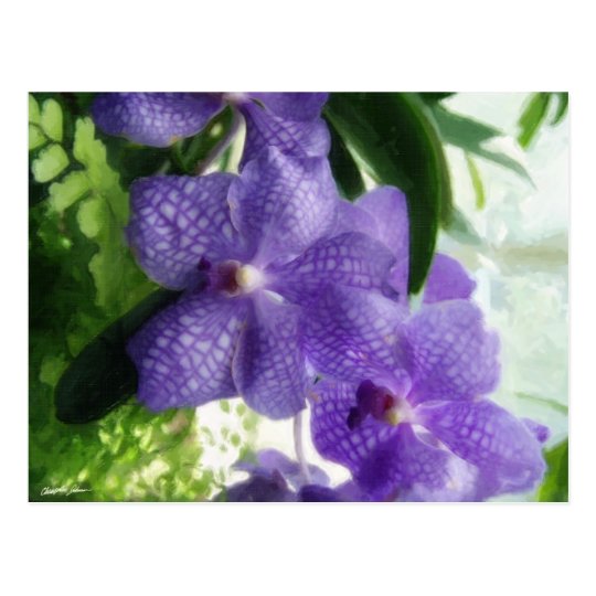 Blue Orchids Painterly Postcard
