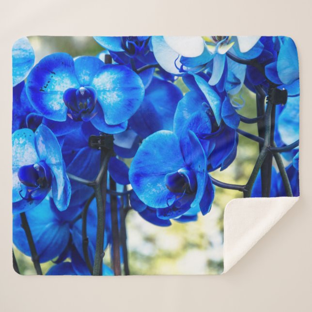 Blue orchids sherpa blanket (Front (Horizontal))
