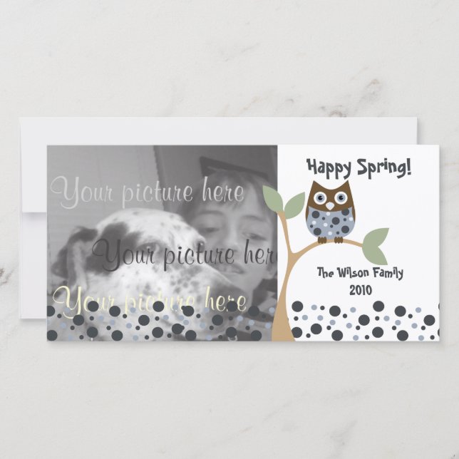 Blue Owl Baby (Front)