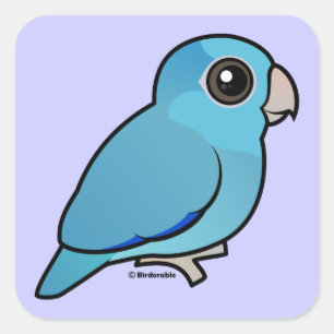 Blue Pacific Parrotlet Square Sticker