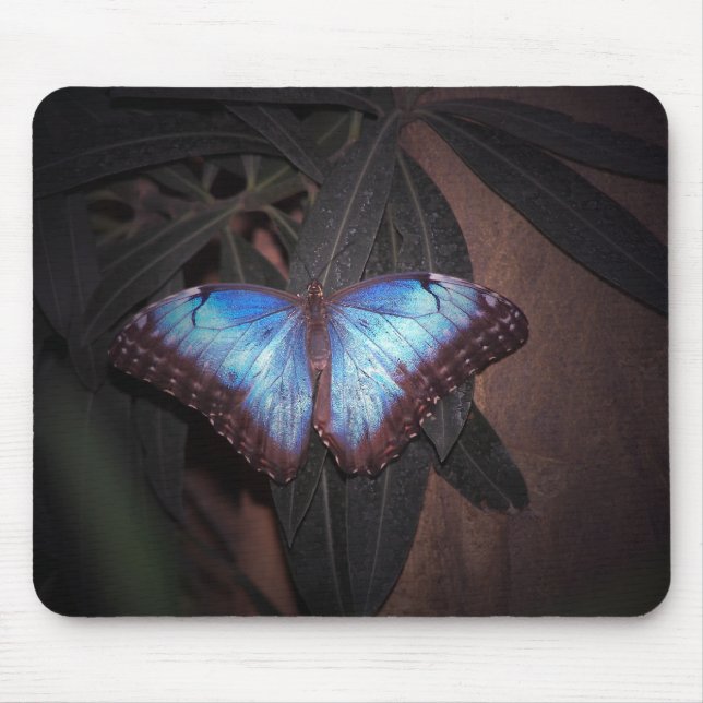 Blue Painted Lady Mouse Mat (Front)