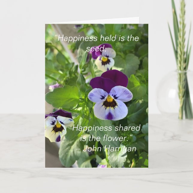 Blue Pansies Birthday Card (Front)