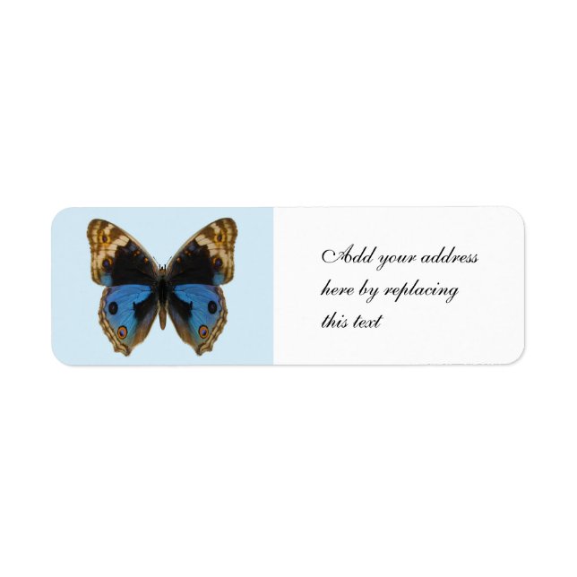 Blue Pansy Butterfly (Front)