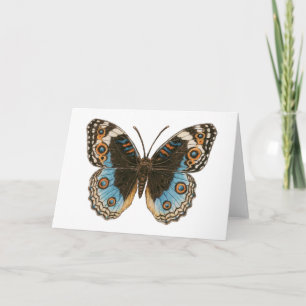 Blue Pansy Butterfly Card