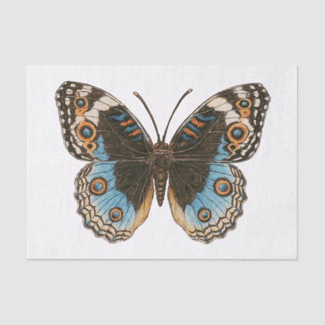 Blue Pansy Butterfly Tissue Paper (Front)