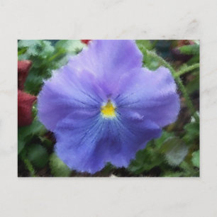 Blue Pansy Postcard