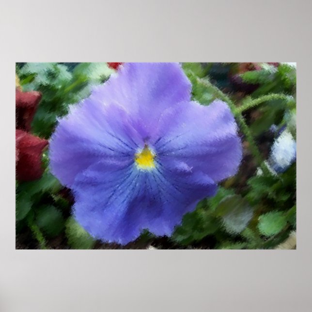 Blue Pansy Soft Sketch Poster (Front)