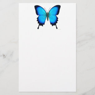 Blue Papilio Ulysses Butterfly Stationery