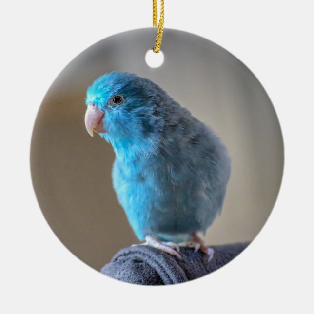 Blue Parakeet Ceramic Tree Decoration (Front)