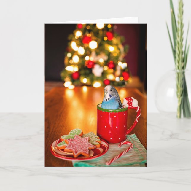 Blue Parakeet Christmas Folded Greeting Card (Front)