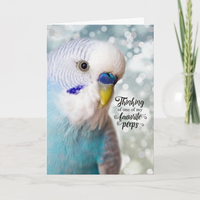 Blue Parakeet Favourite Peeples Thinking of You Card (Front)