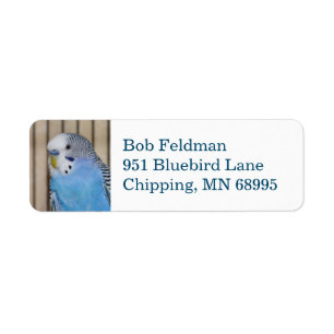 Blue Parakeet return address label