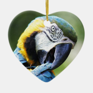 Blue Parrot Ceramic Tree Decoration