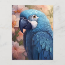 Blue Parrot Greeting Cards 