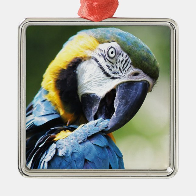 Blue Parrot Metal Tree Decoration (Front)