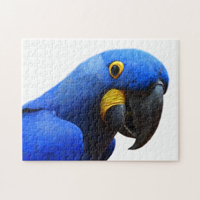 Blue Parrot Photography Jigsaw Puzzle (Horizontal)