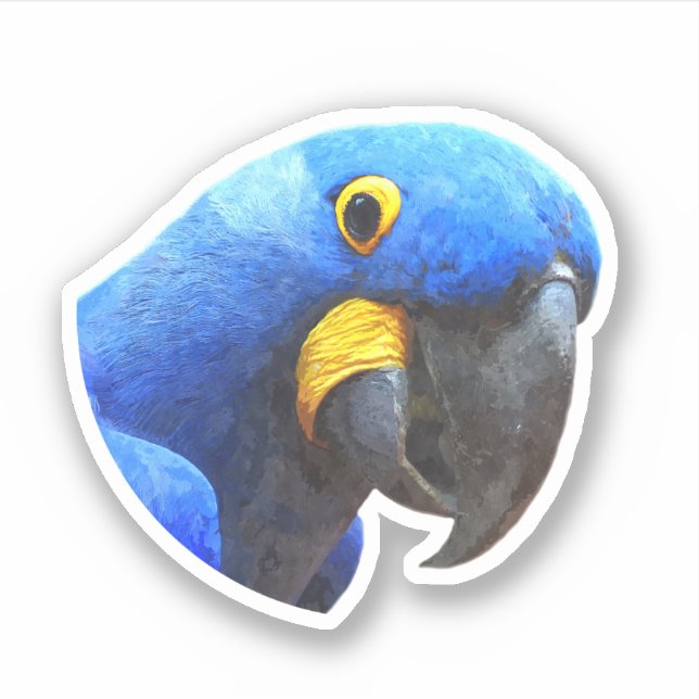 Blue Parrot Portrait (Front)