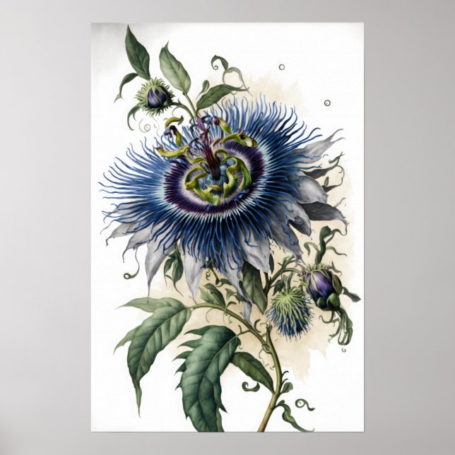 Blue Passion Flowers Art Print Poster (Front)