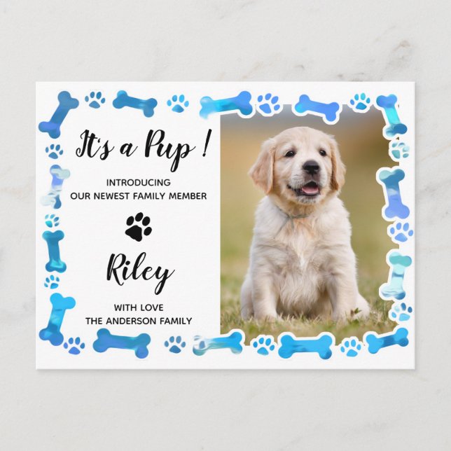 Blue Paw Prints Bones New Pet Dog Puppy Announcement Postcard (Front)